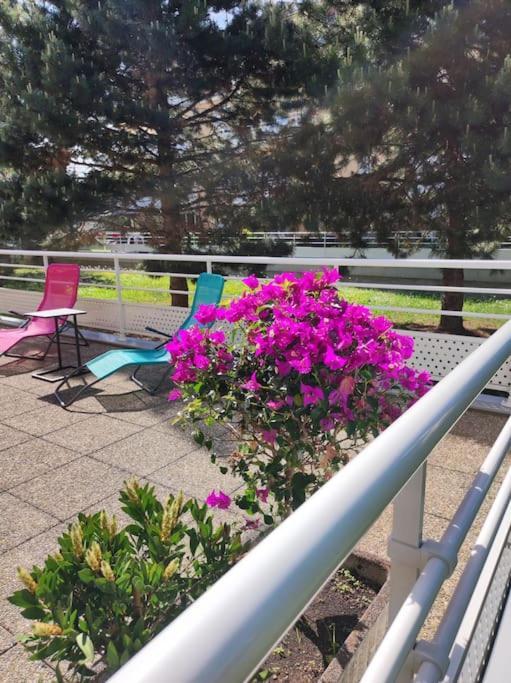 Apartmán Comme Chez Vous Štrasburk Exteriér fotografie